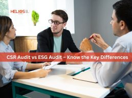Difference between CSR audit and ESG audit