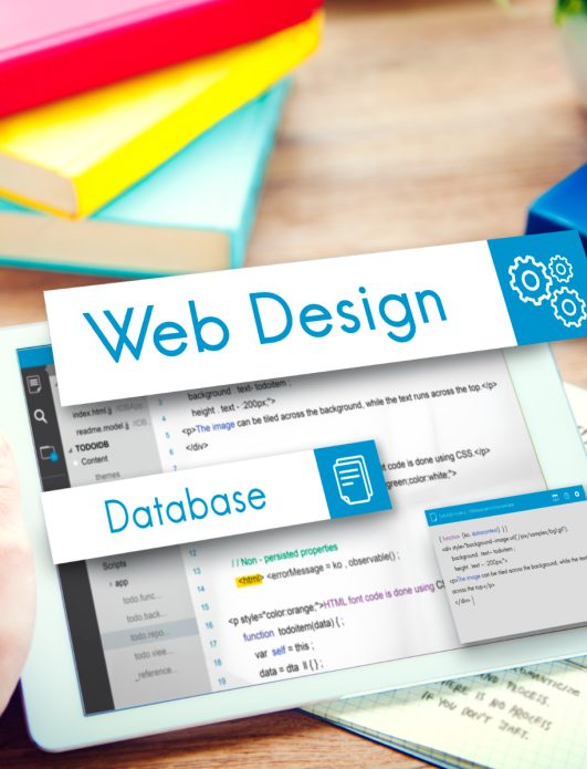 SEO-Friendly Website Development in Gurgaon