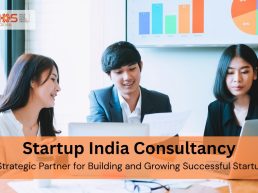 Startup India Consultancy helping startups achieve sustainable business growth